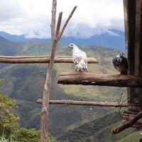 Peru - Cajamarca