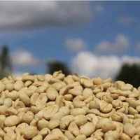Kenya AA Kiamugumo Fully Washed
